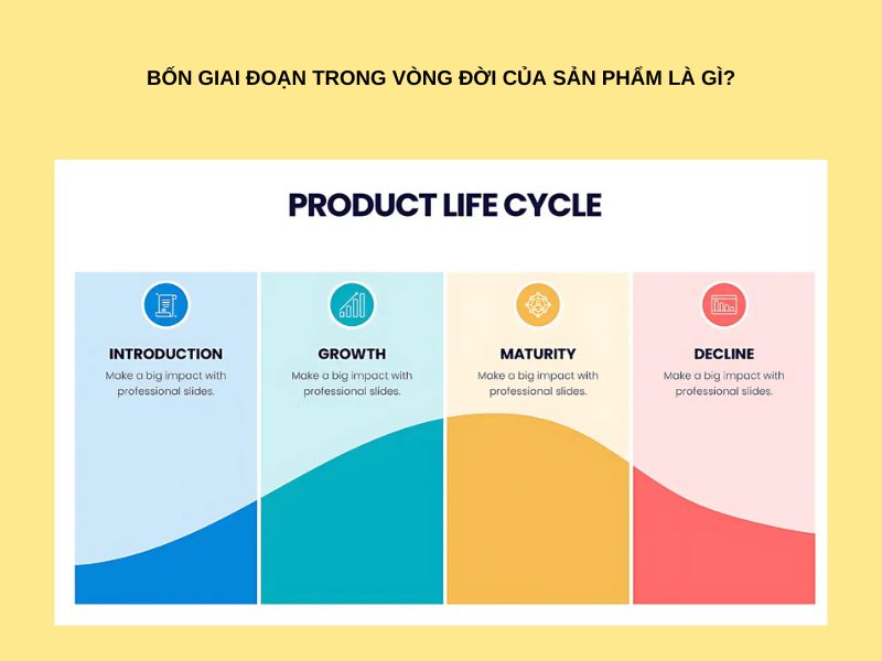 Bốn giai đoạn trong vòng đời của sản phẩm là gì?