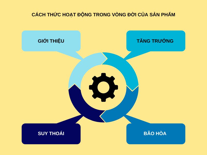 Cách thức hoạt động trong vòng đời của sản phẩm